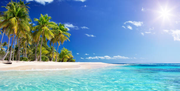 ¡Escápate al Paraíso! Los Destinos Más Soñados del Mundo